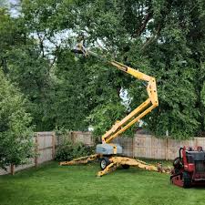 Best Lawn Mowing  in Cleveland, GA